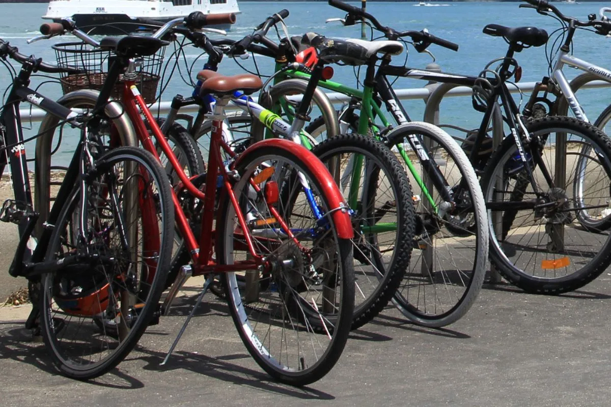 Cykler stillet på række op ad et rækværk ved havnefronten, med både bagved