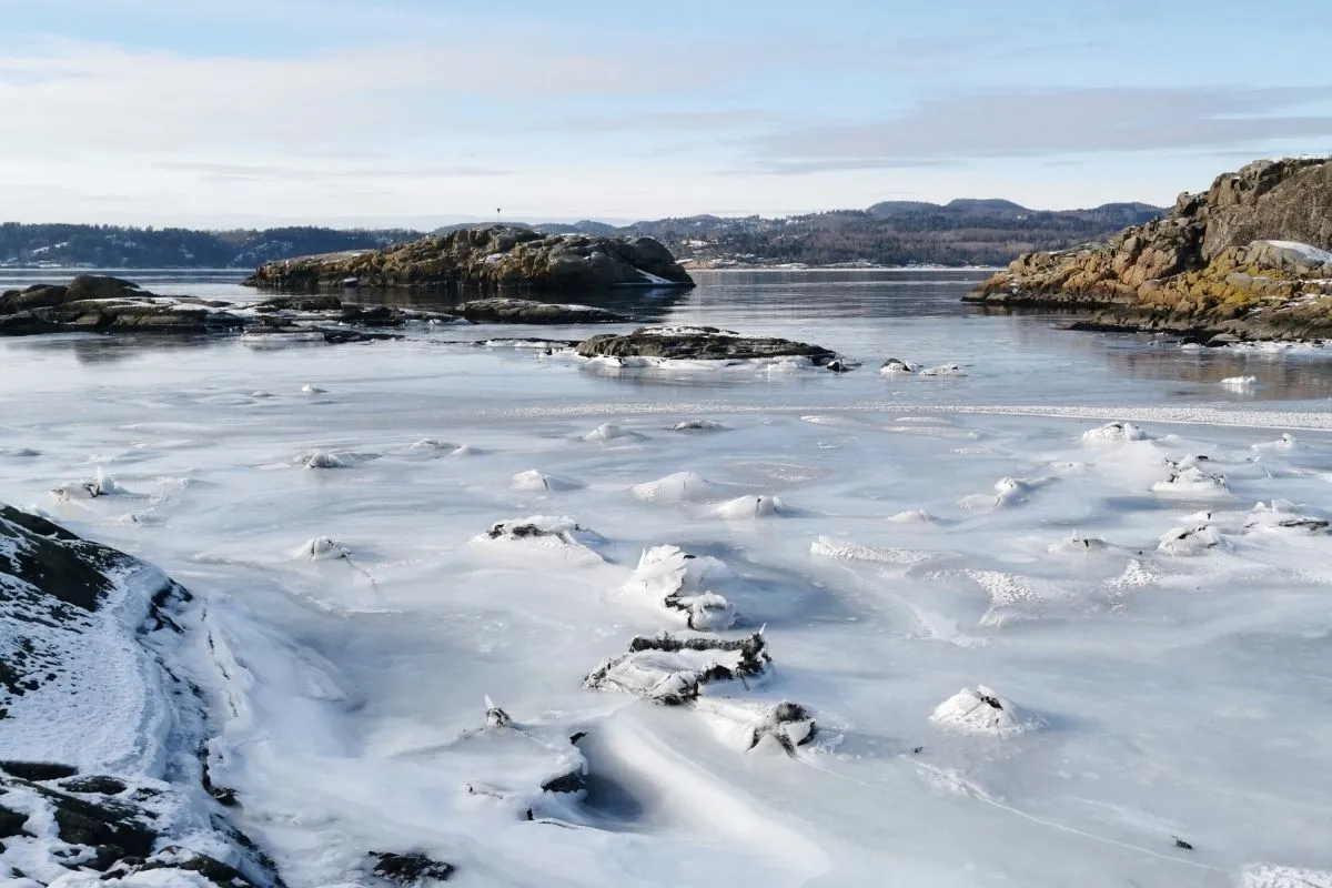 Smooth granite shoreline and pine trees on the Vestfold coast near Larvik, with calm water and small islands offshore