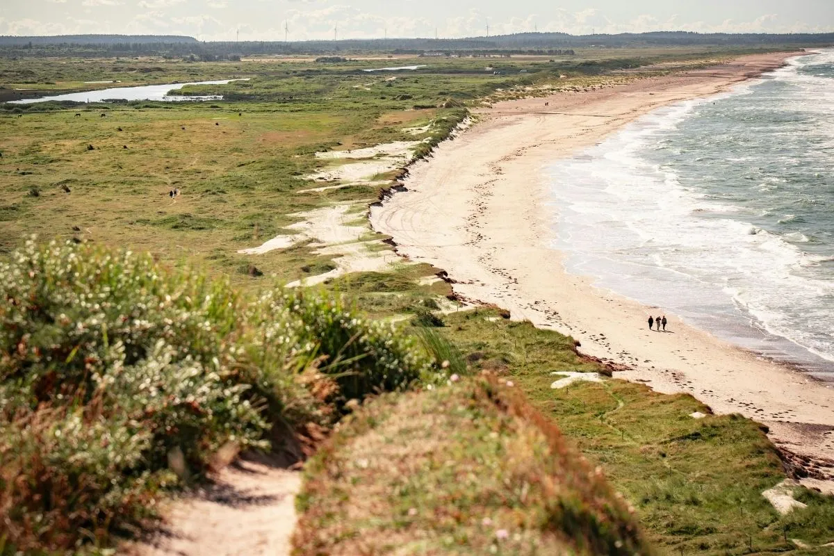 The wide North Sea coastline of northern Jutland near Hirtshals, with dunes and open sky